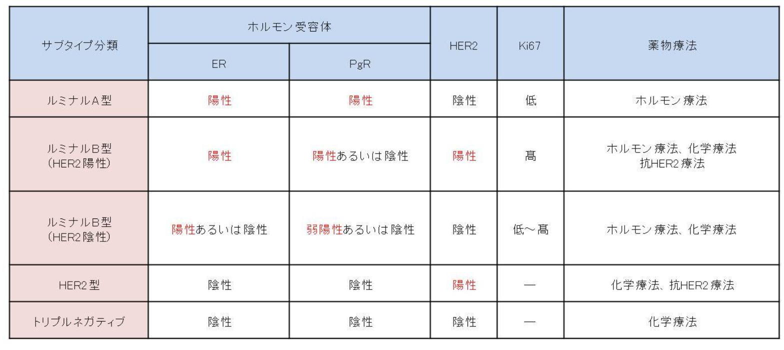 サブタイプ分類